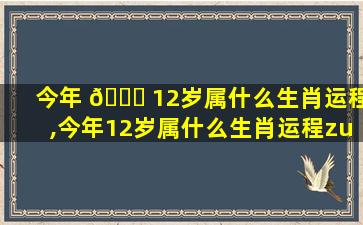 今年 🍀 12岁属什么生肖运程,今年12岁属什么生肖运程zui
好